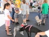 blessing-of-the-pets-2011-2